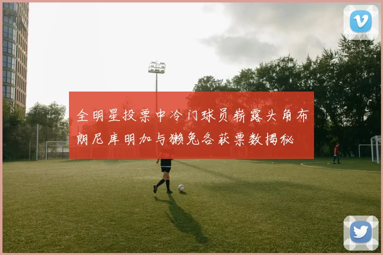 全明星投票中冷门球员崭露头角布朗尼库明加与獭兔各获票数揭秘